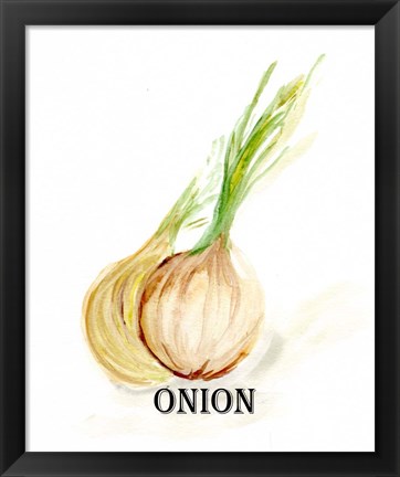 Framed Veggie Sketch X-Onion Print