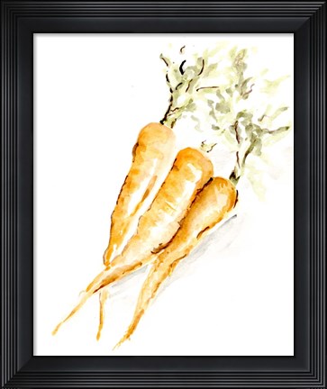 Framed Veggie Sketch plain V-Carrots Print