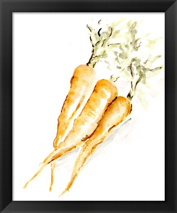 Framed Veggie Sketch plain V-Carrots Print