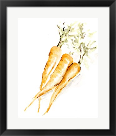 Framed Veggie Sketch plain V-Carrots Print