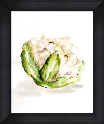 Framed Veggie Sketch plain VI-Cauliflower Print