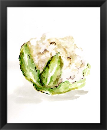 Framed Veggie Sketch plain VI-Cauliflower Print