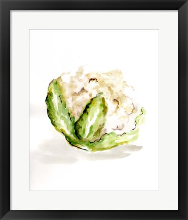 Framed Veggie Sketch plain VI-Cauliflower Print