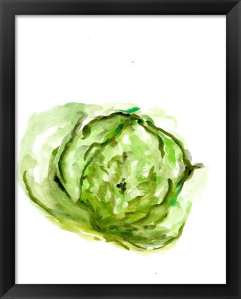 Framed Veggie Sketch plain IX-Lettuce Print