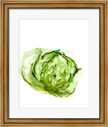 Framed Veggie Sketch plain IX-Lettuce Print