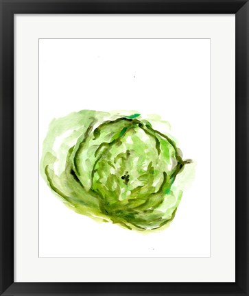 Framed Veggie Sketch plain IX-Lettuce Print
