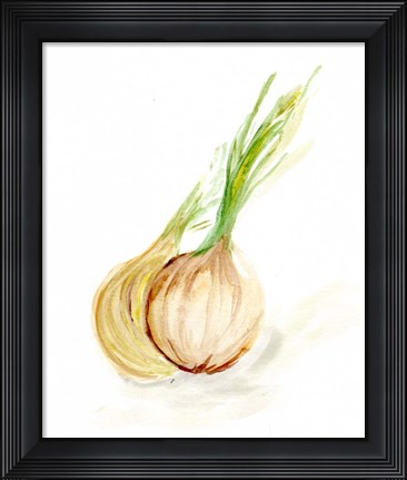 Framed Veggie Sketch plain X-Onion Print