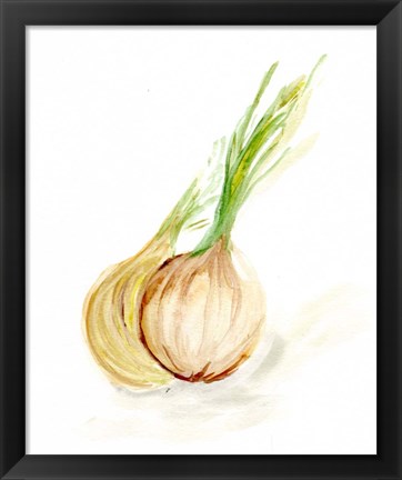 Framed Veggie Sketch plain X-Onion Print