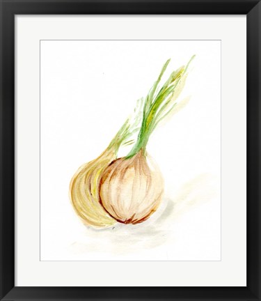 Framed Veggie Sketch plain X-Onion Print