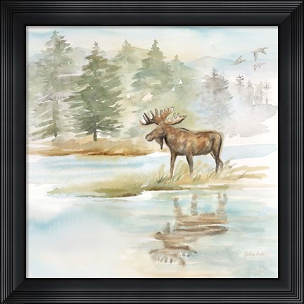 Framed Woodland Reflections II-Moose Print