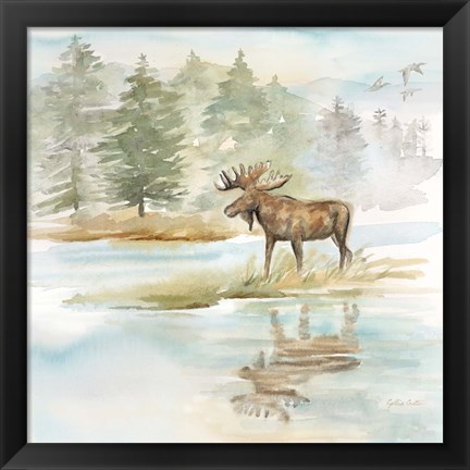 Framed Woodland Reflections II-Moose Print