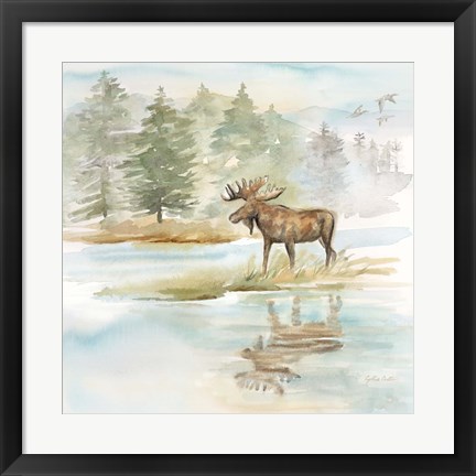 Framed Woodland Reflections II-Moose Print