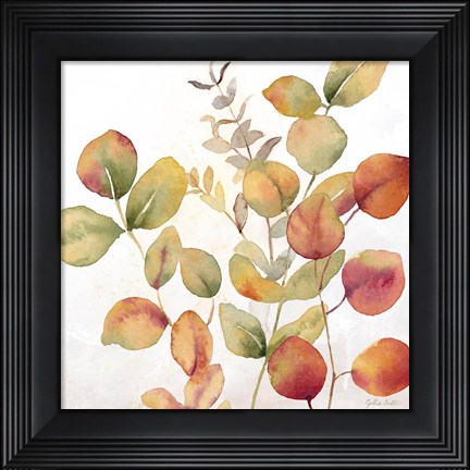 Framed Eucalyptus Leaves Spice I Print