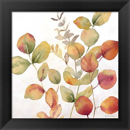 Framed Eucalyptus Leaves Spice I Print