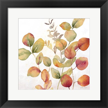 Framed Eucalyptus Leaves Spice I Print