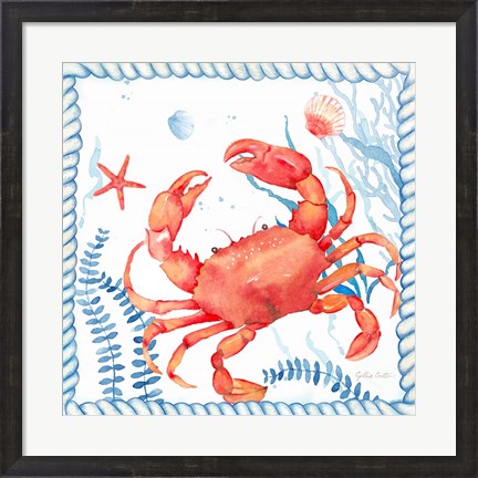 Framed Nautical Sea Life I-Crab Print