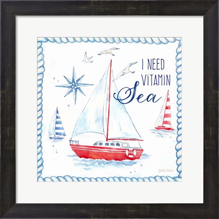 Framed Nautical Sea Life IV-Sailboat Print