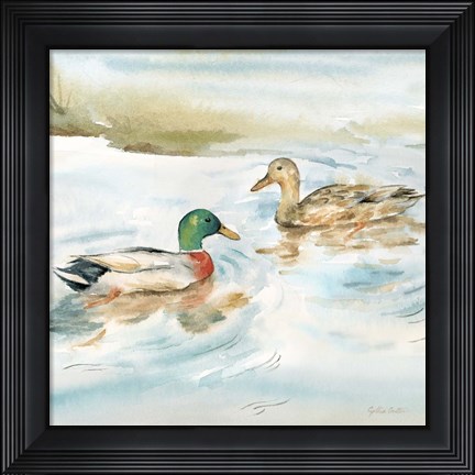 Framed Woodland Reflections V-Mallards Print