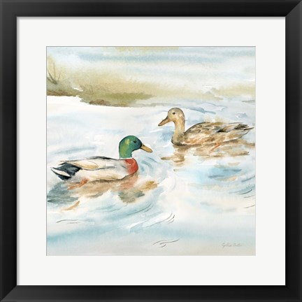 Framed Woodland Reflections V-Mallards Print