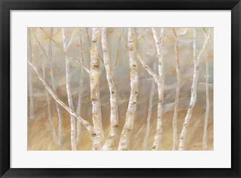 Framed Autumn Birch landscape Print