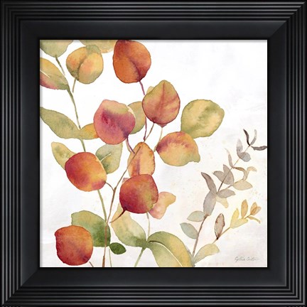 Framed Eucalyptus Leaves Spice II Print