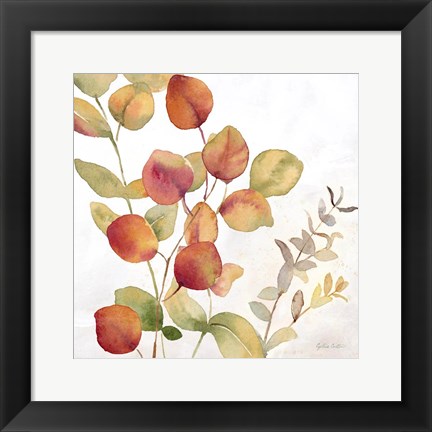 Framed Eucalyptus Leaves Spice II Print