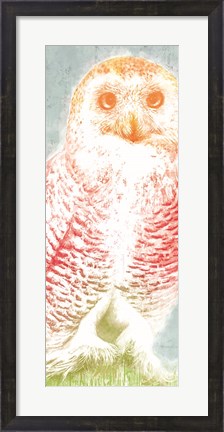 Framed Snowy Owl panel rainbow Print