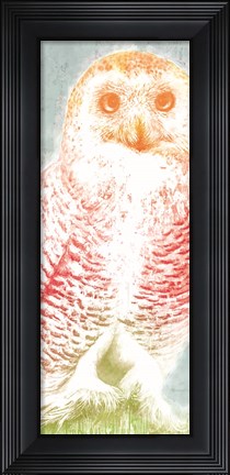 Framed Snowy Owl panel rainbow Print