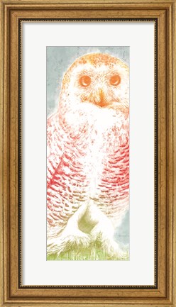 Framed Snowy Owl panel rainbow Print