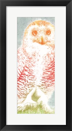 Framed Snowy Owl panel rainbow Print