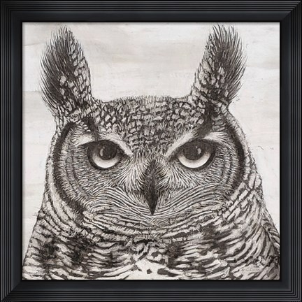 Framed Portrait of an Owl Print