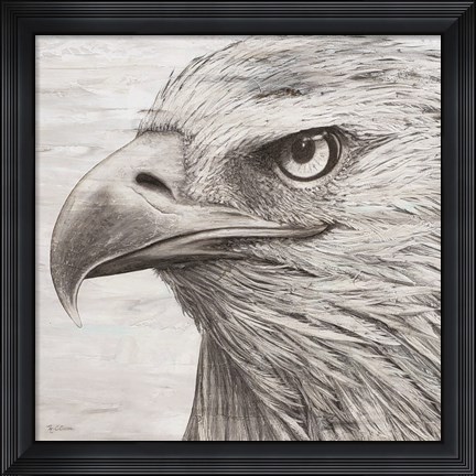Framed Portrait of an Eagle Print