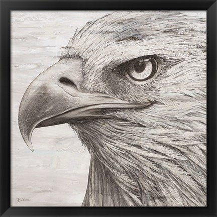 Framed Portrait of an Eagle Print