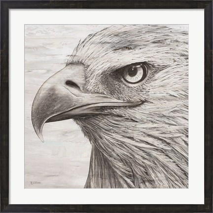 Framed Portrait of an Eagle Print