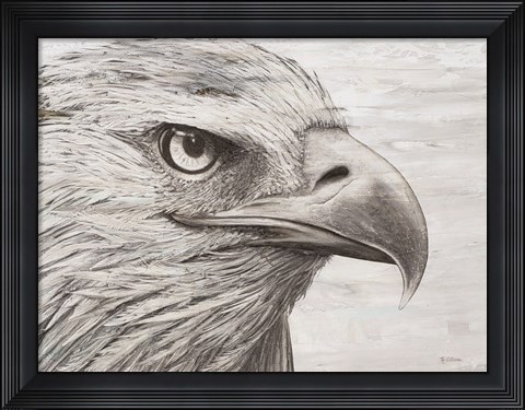 Framed Eagle landscape Print