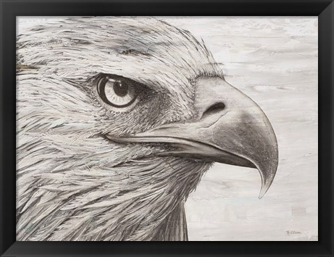 Framed Eagle landscape Print