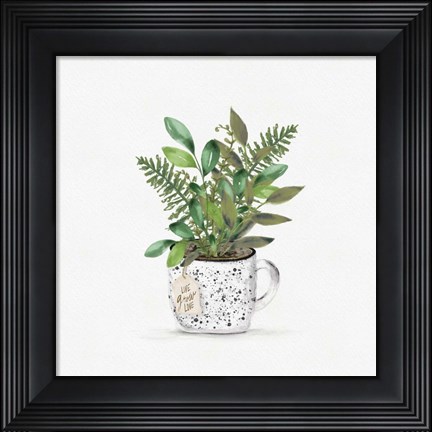 Framed Botanical Mug II Print