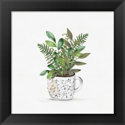 Framed Botanical Mug II Print