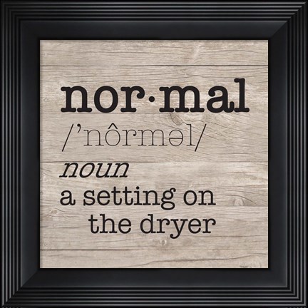 Framed Laundry Room Humor II-Normal Print
