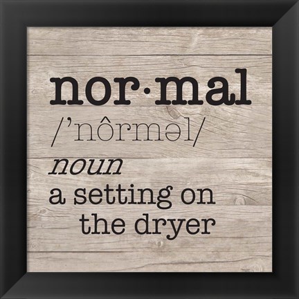 Framed Laundry Room Humor II-Normal Print