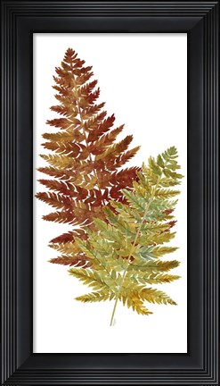 Framed Fall Inspiration panel II Print