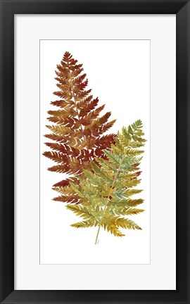 Framed Fall Inspiration panel II Print