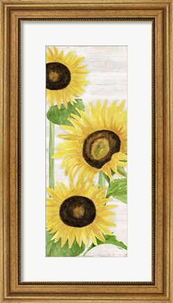 Framed Fall Sunflowers panel I Print