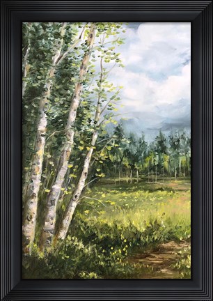 Framed Colorado Meadow panel I Print