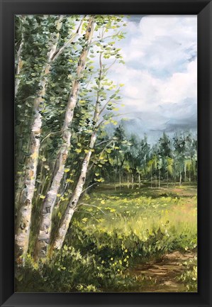 Framed Colorado Meadow panel I Print