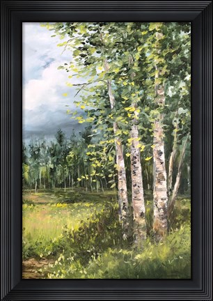 Framed Colorado Meadow panel II Print