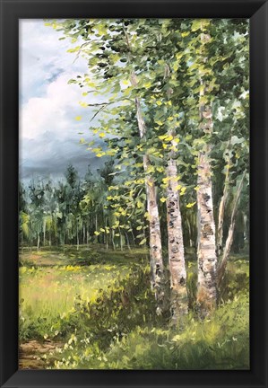 Framed Colorado Meadow panel II Print