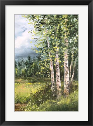 Framed Colorado Meadow panel II Print