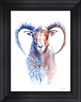 Framed Copper and Blue Ram Print
