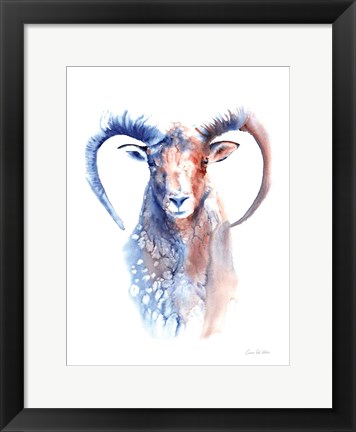 Framed Copper and Blue Ram Print